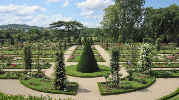 パリ　バガテル公園　ローズガーデン