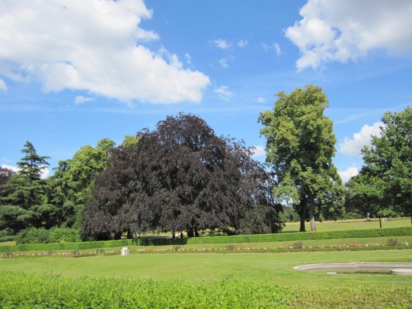 パリ　バガテル公園