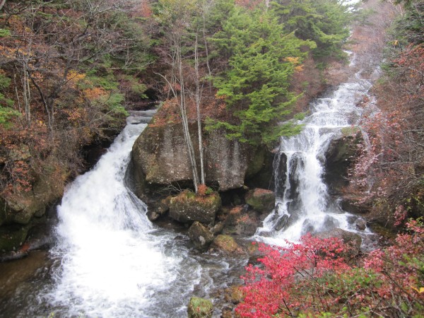 日光