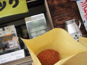 日光