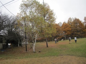 日光