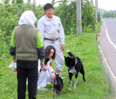 イケメン狩野英孝さんが 愛犬連れてりんご園に登場 わたしのブログ By ときめきマカロン 楽天ブログ