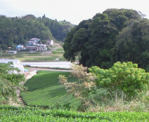 田舎景色２