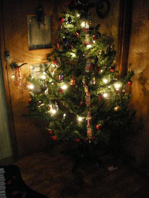 IMGP0547.JPG
