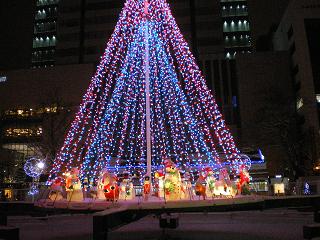 IMGP2310.JPG