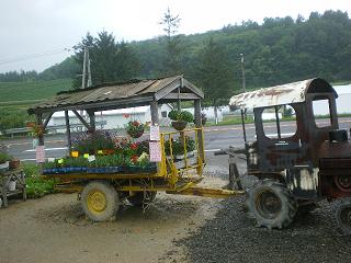 IMGP1790.JPG