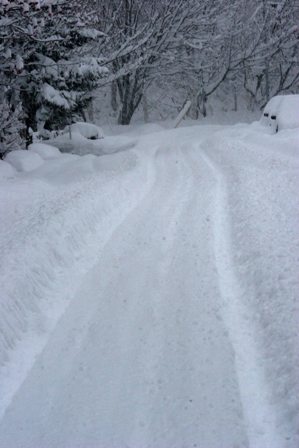 大雪１
