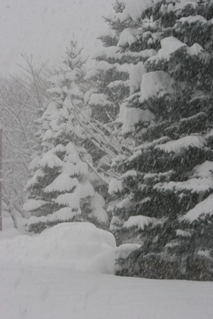 大雪３