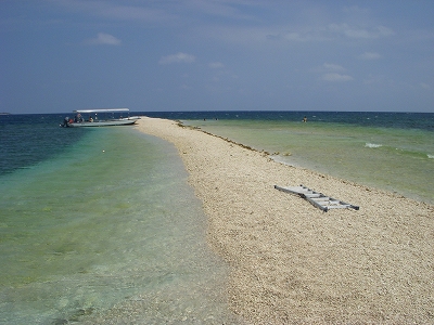 d0116009_1323968.jpg