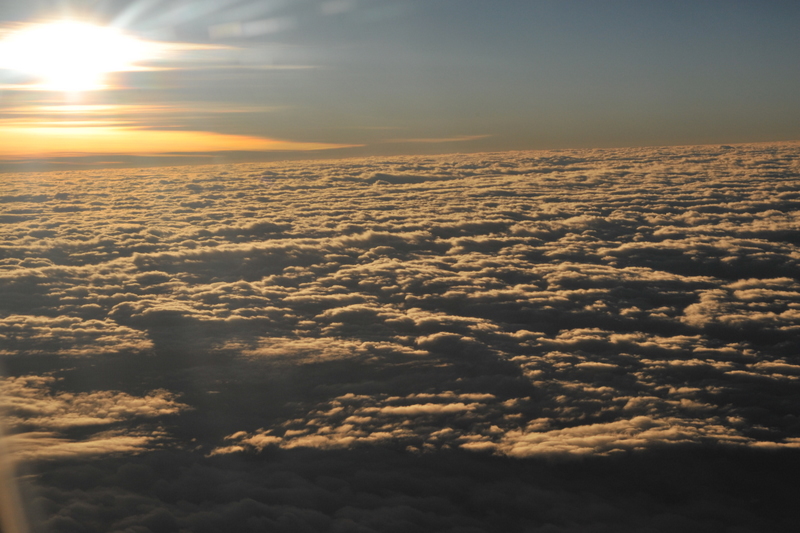 DSC_0643.JPG