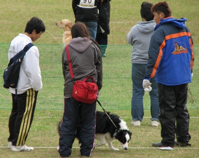 訓練競技会