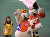 SANY0186.JPG