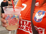 SANY0262.JPG