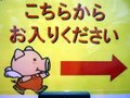 ぶた