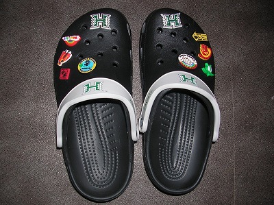 ２００９ハワイ 581.jpg