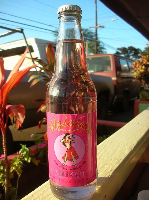 ２００９ハワイ 491.jpg