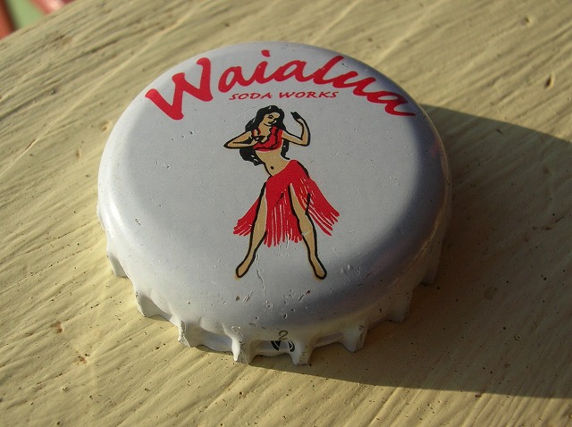 ２００９ハワイ 492.jpg