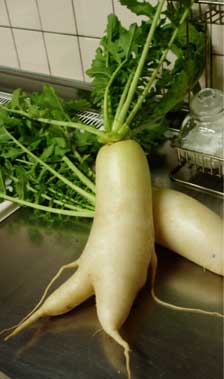 大根