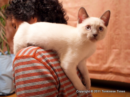 肩乗りでポーズ♪