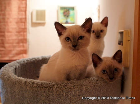 大中小そろって頂上制覇！