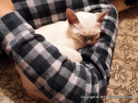 たまご大福ぬくぬく・・・