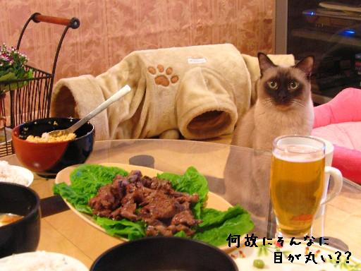 まん丸おめめのこごろっち♪