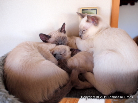 もうみっちみちですから！