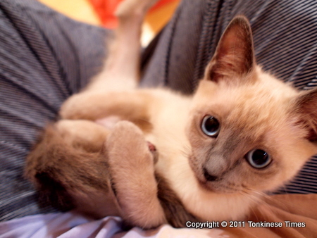 小太郎のセクシーショット