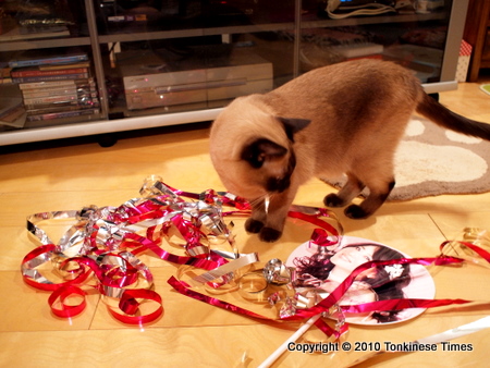 聖子ちゃん、可愛い・・・