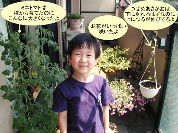 ベランダガーデニング