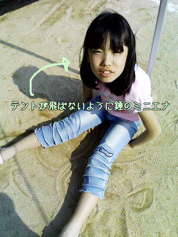 お手伝いミニエナ