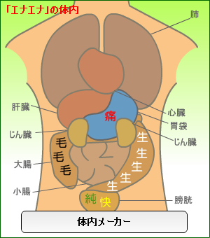 体内メーカー