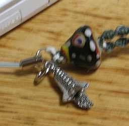 20080122strap2.jpg
