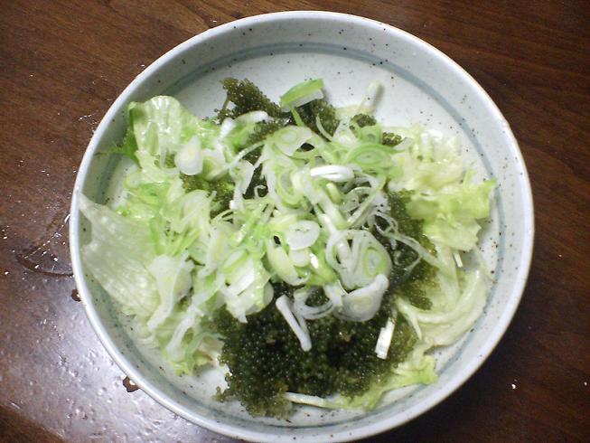 海ぶどう・・・ヾ(@⌒￢⌒@)ﾉ ｳﾏﾋｨ