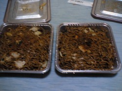 yakisoba