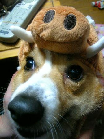 うりうりマロちゃん