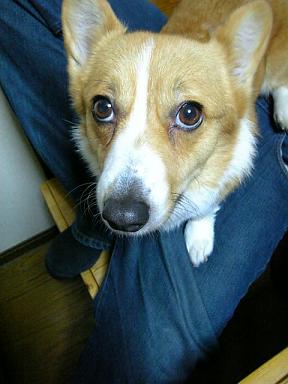 なんで写真撮るん？？