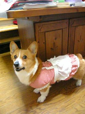 新しい洋服着用中