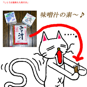 お菓子ねこ３