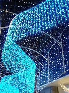 新宿イルミ１