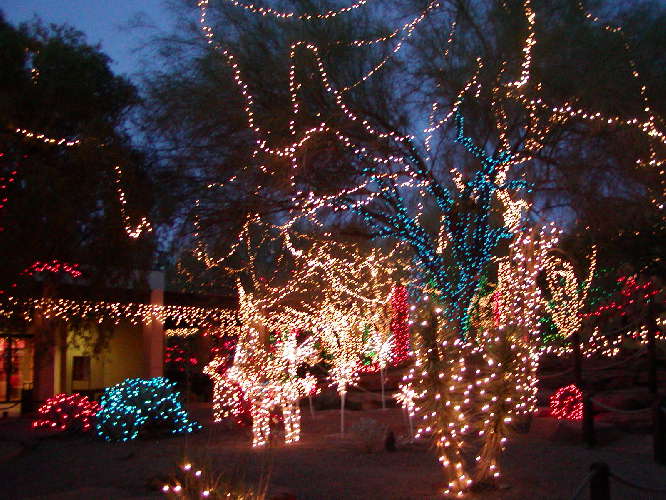 Ethel M Chocolate Garden