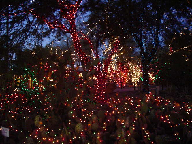 Ethel M Chocolate Factory Cactus Garden 4