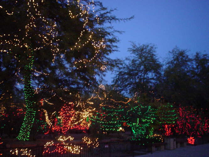 Ethel M Chocolate Factory Cactus Garden 3