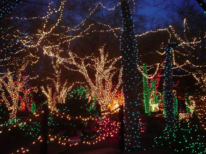 Ethel M Chocolate Factory Cactus Garden 6