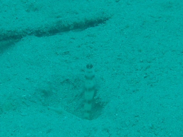 2005-07-17 17:27:36