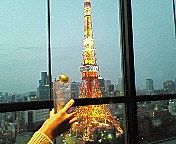 東京タワー3