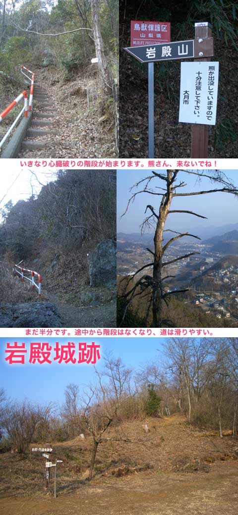 岩殿山 登山道