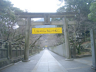 金比羅の鳥居