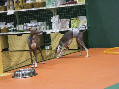 ２０　２　２　Ｄ