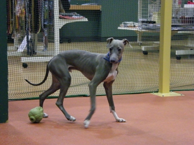 ２０　２　２　Ｃ